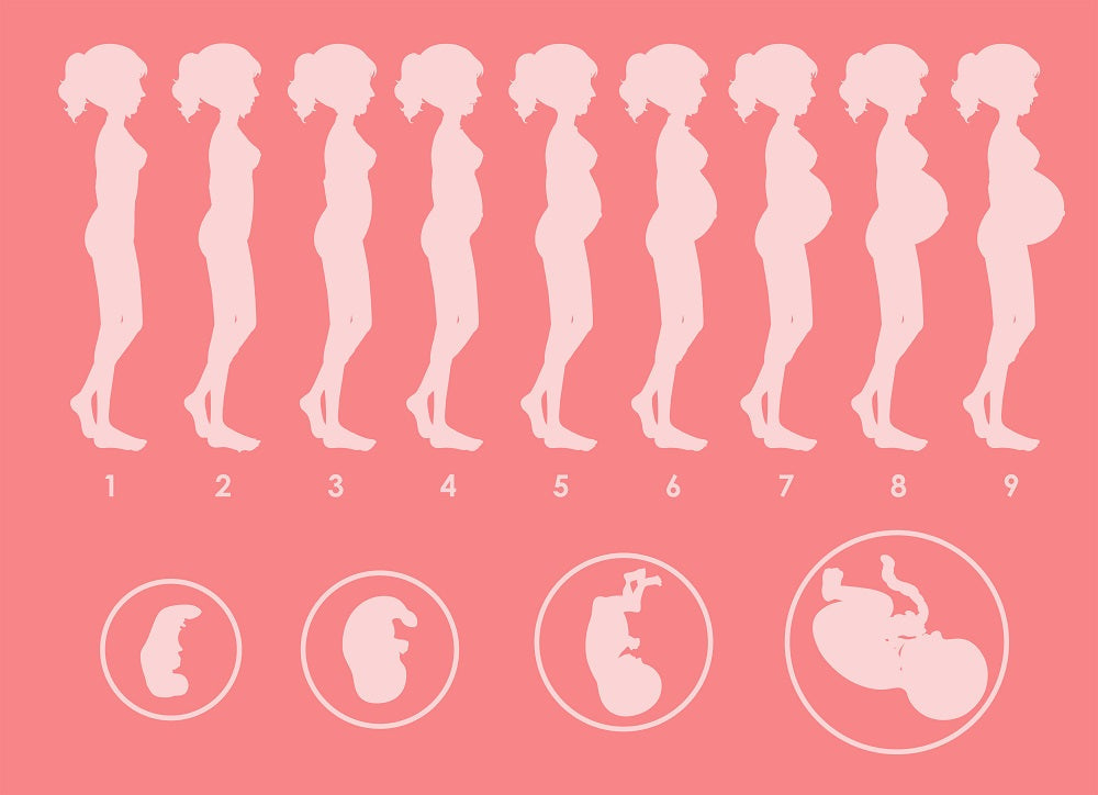Fases del embarazo: guía completa mes a mes para futuras mamás