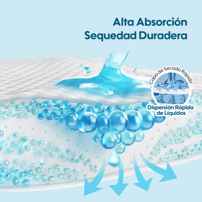 Aiwina Calzoncitos de Adulto Premium