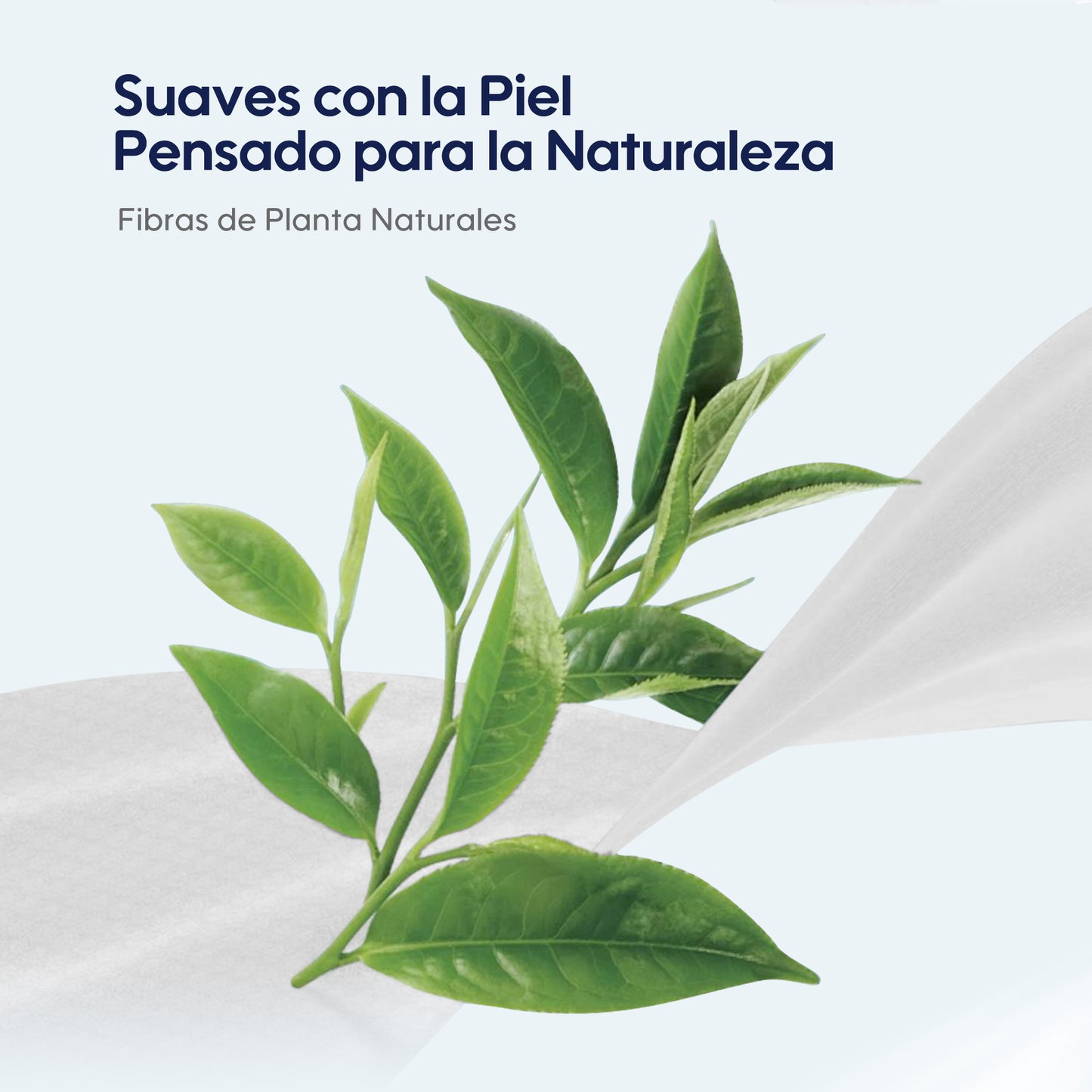 Toallitas Piel Sensible Gentle Soft Tapa Koala Aroma Aceite de Té Natural
